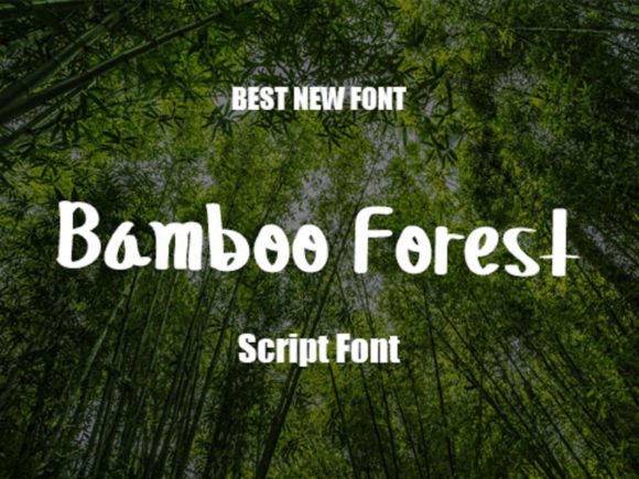 Bamboo Forest: A Sweet Script Handwritten Font for Editorial Design