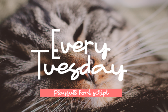 Every Tuesday: A Fun Handwritten Font for Crafters and Makers