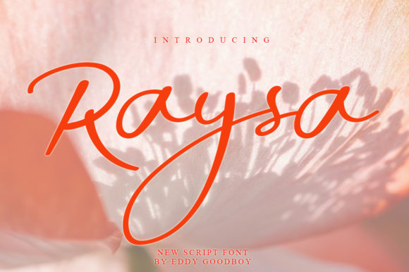 How Choosing Raysa Font Transformed My Small Business Branding
