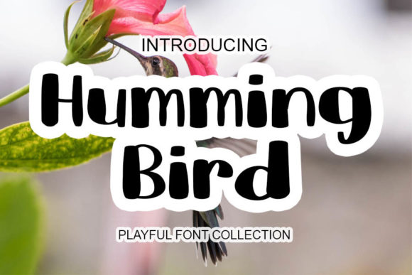 Humming Bird: A Playful Handwritten Font for Creative Branding Projects