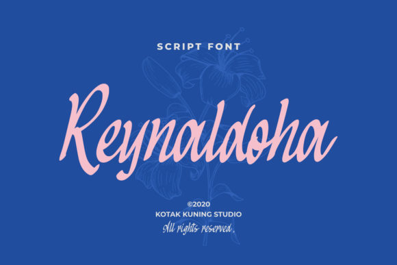 Reynaldoha: A Stylish Handwritten Font That Elevates Campaign Visuals