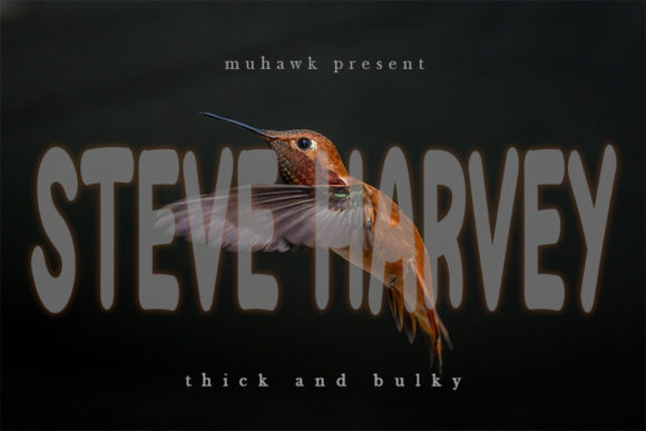 Steve Harvey: A Handwritten Font That Elevates Digital Branding