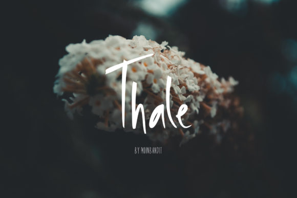 Thale: A Relaxed Handwritten Font Perfect for Crafters and Small Product Makers